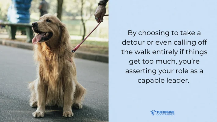 how to calm reactive dogs