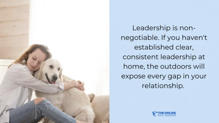 how to train your dog to behave in public