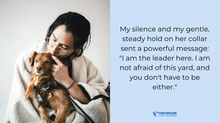 How to calm an anxious dog