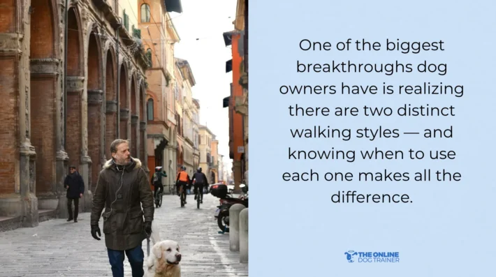 How to walk your dog