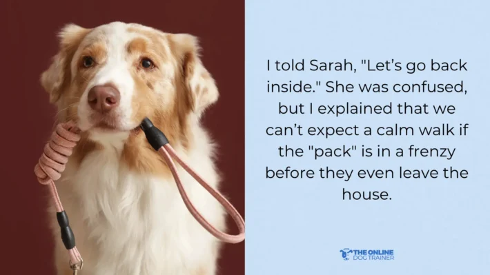 leash reactivity training doggy dan