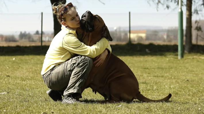 Build dog confidence