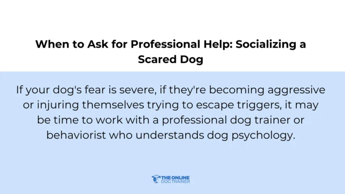 Dog scared to socialize