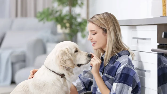 How to socialize a reactive rescue dog