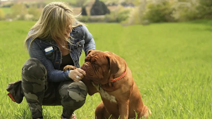 Rescue dog aggression