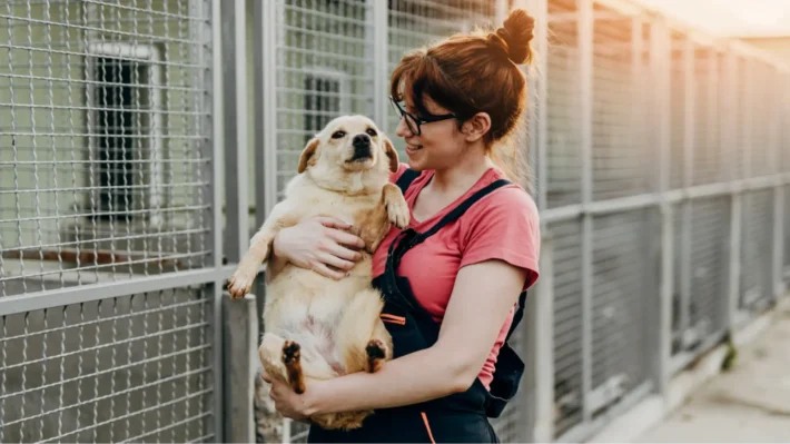 Rescue dog behavior
