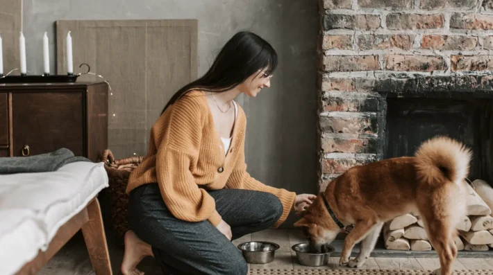 best dog training for rescue dogs