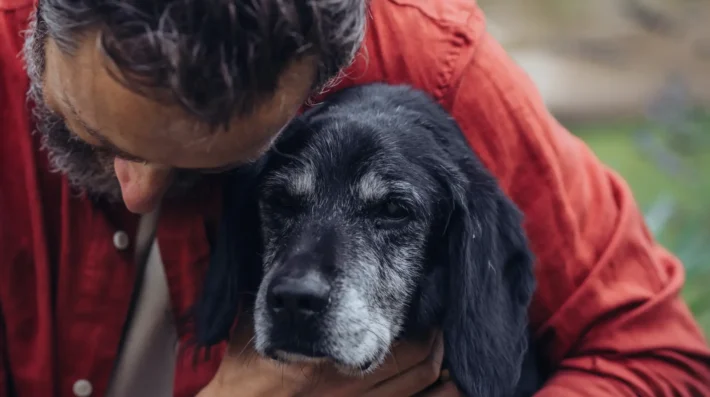 calming an anxious dog