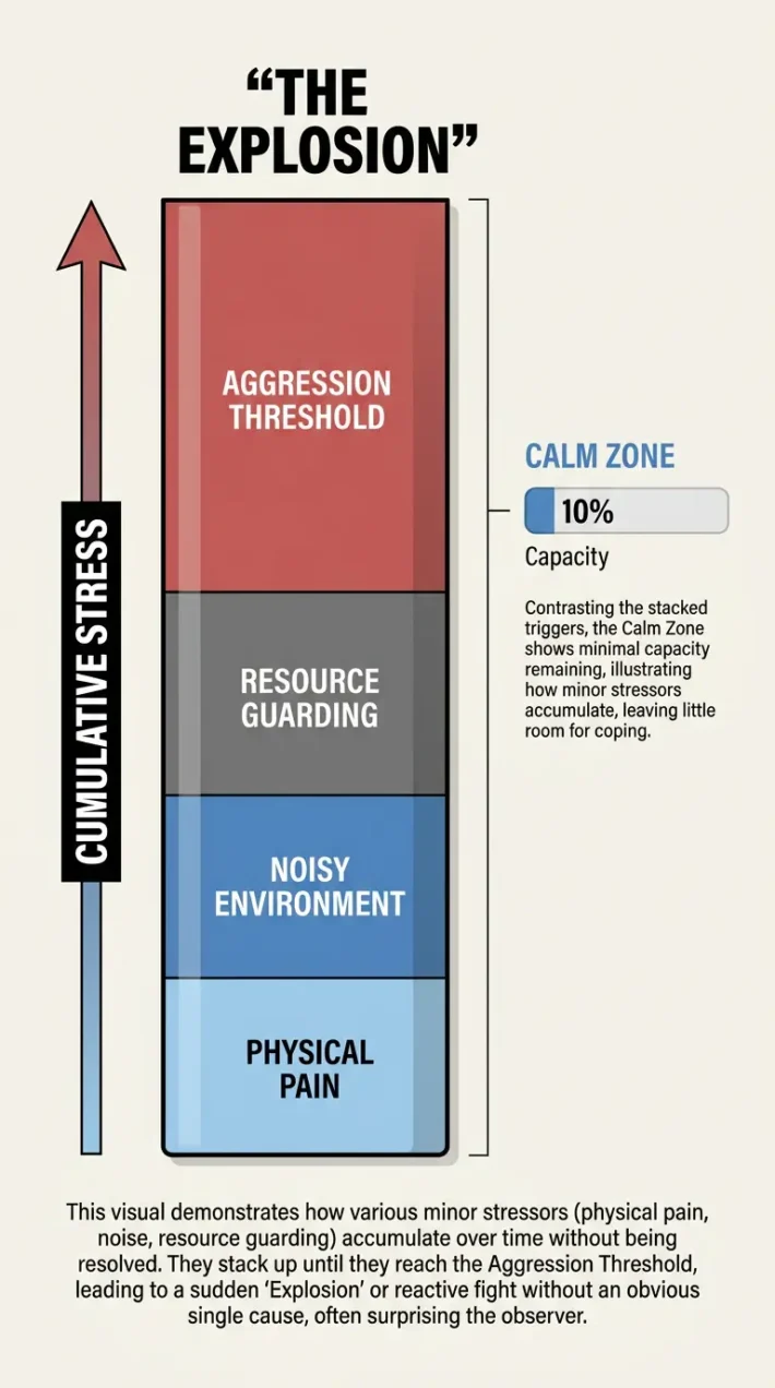 A stacked bar chart titled Dog Stress Bucket showing how pain, environment, and resource guarding lead to an aggression threshold explosion.