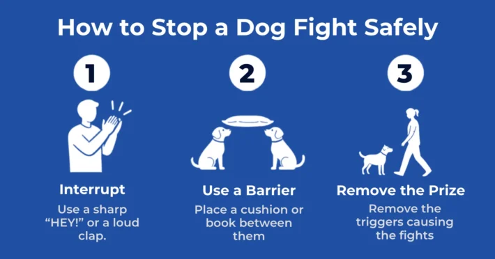 how to stop dog fights safely