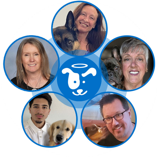 The Online Dog Trainer's Reactivity Analysis coaching team