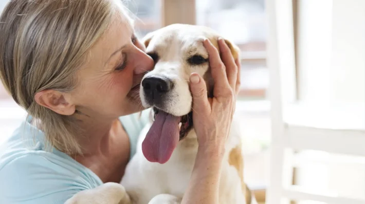 dog psychology dog aggression